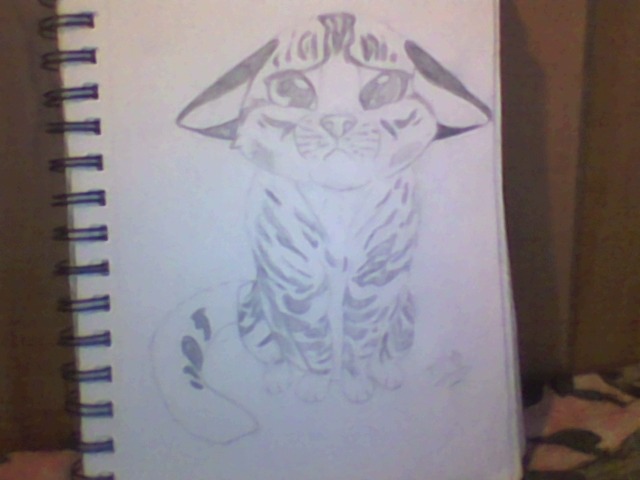 640x480 Sad Cat Drawing I Got To Fix The Tail And Give It More Detail (2
