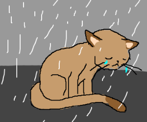 300x250 Sad Cat Is Rained Upon