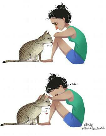 339x434 Cat, Drawing, Girl, Sad