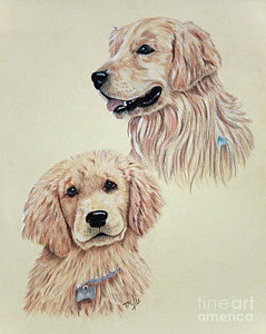 239x300 Sad Dog Drawings Fine Art America