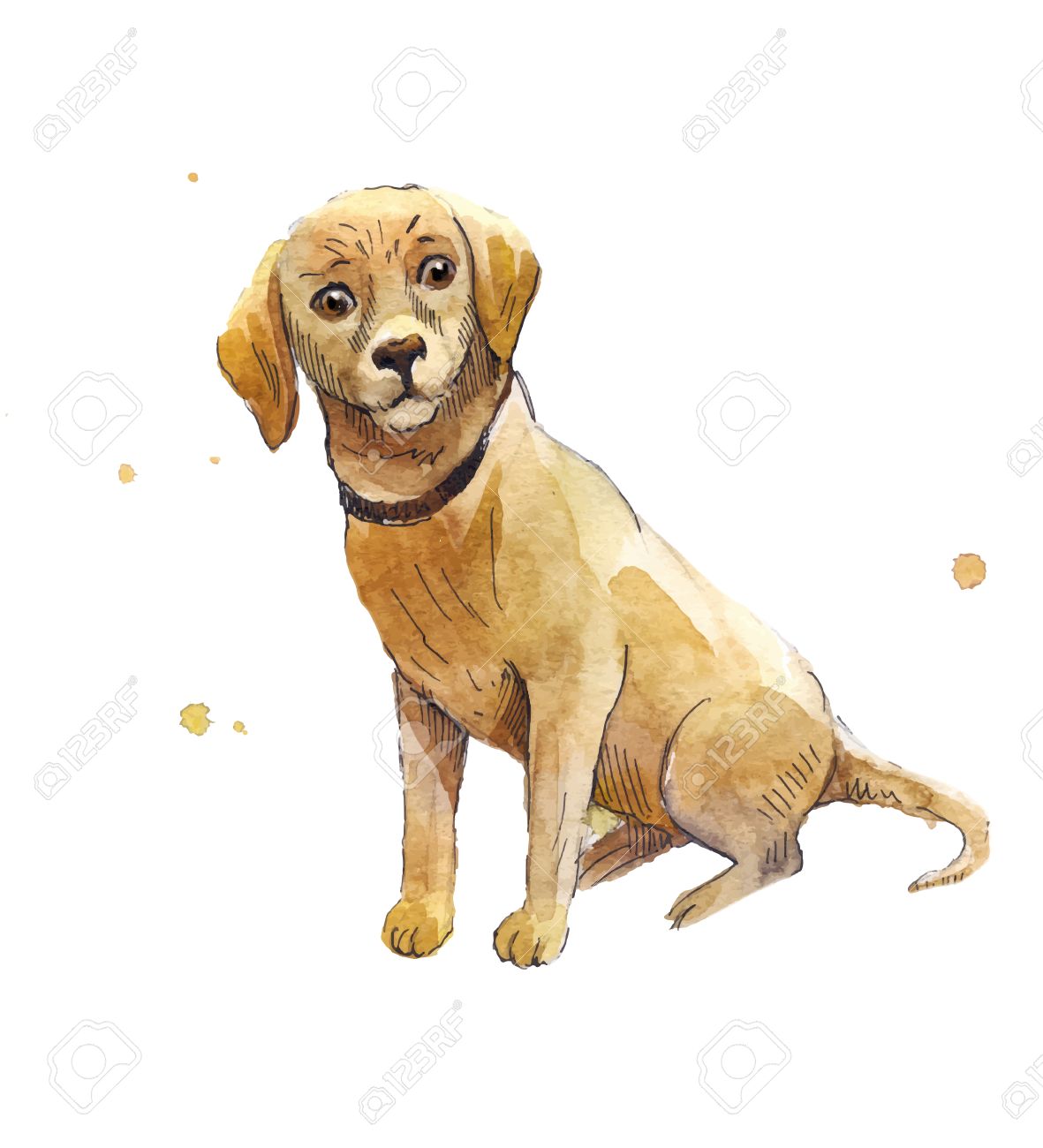 1181x1300 Watercolor Labrador. Hand Drawing A Labrador Puppy. Seated Sad