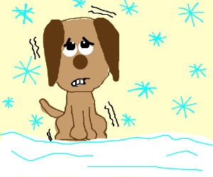 300x250 Cold Sad Puppy