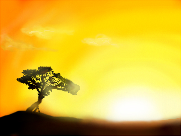 602x452 Safari Sunset