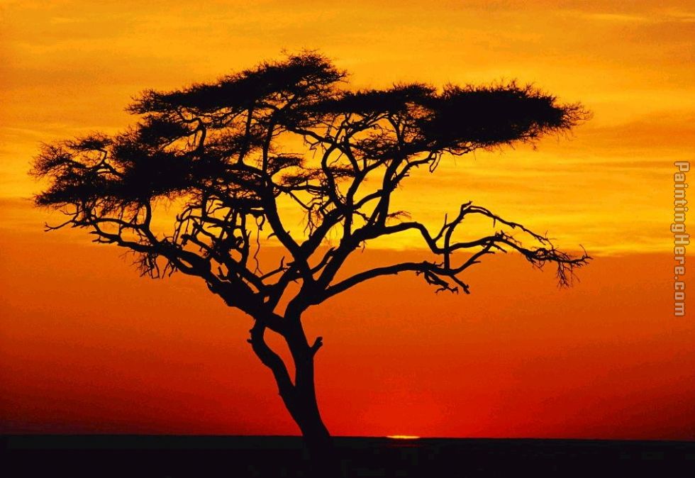 980x674 2010 Sunset Tree Painting Anysize 50% Off