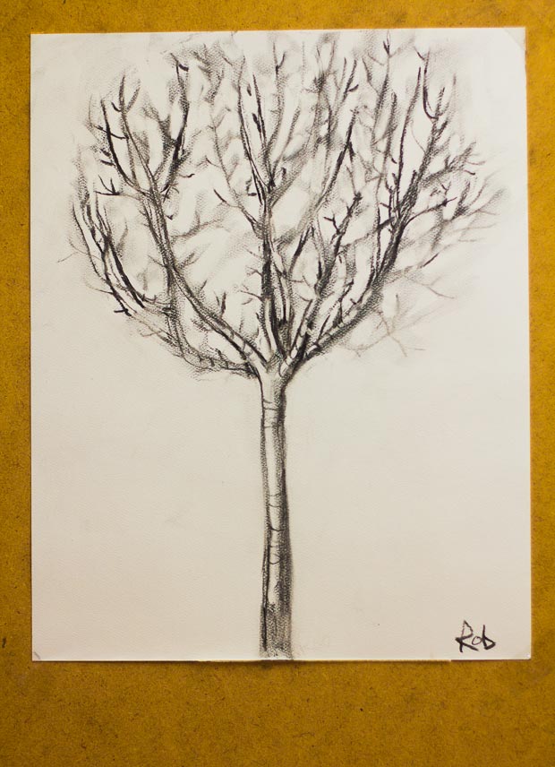 620x856 Teaching Kids How To Draw From Life How To Draw A Tree