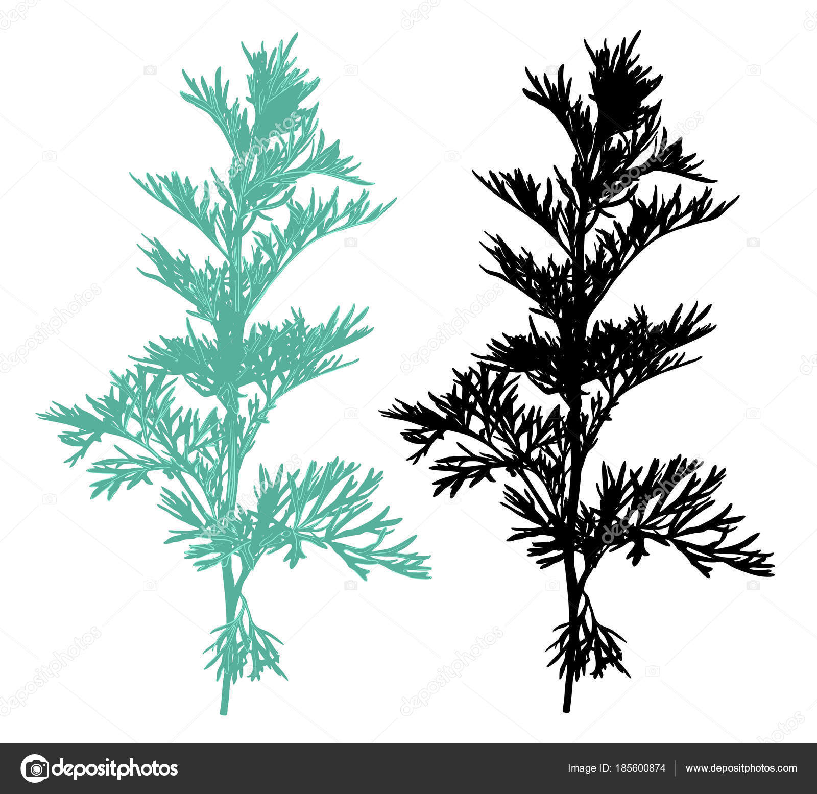 1600x1555 Hand Drawn Sagebrush Silhouette. Stock Vector 7romawka7