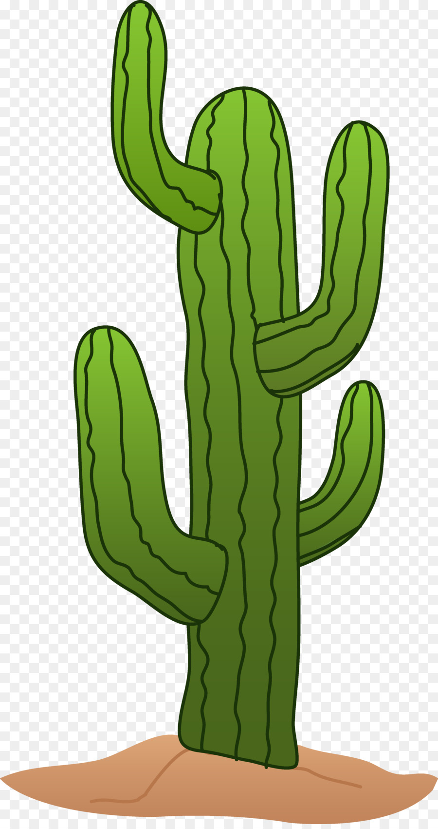 900x1700 Cactaceae Saguaro Drawing Clip Art
