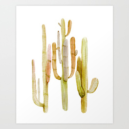 264x264 Saguaro Art Prints Society6