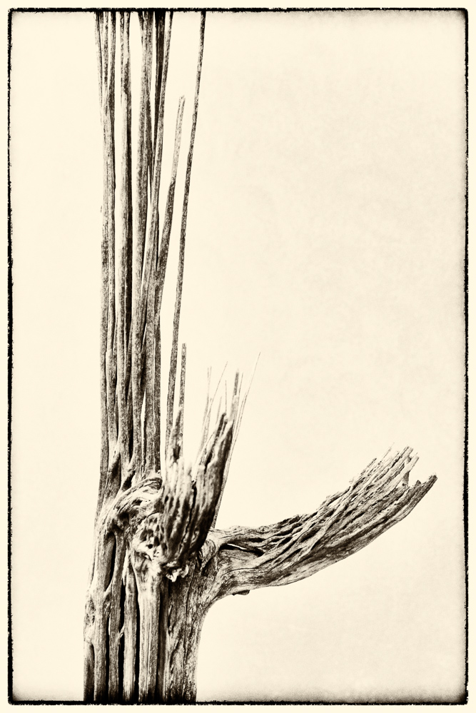 667x999 Something Different