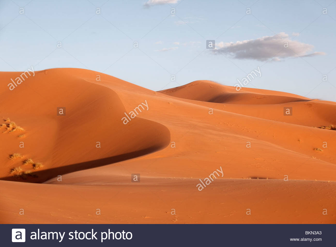 1300x956 Taken In The Sahara Desert, Morocco. Composition Of A Dune