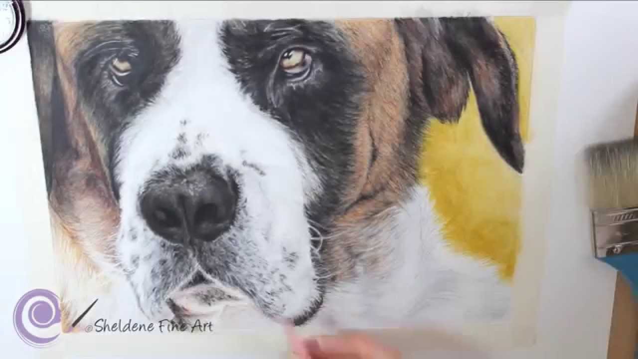 1280x720 Drawing Wendy The St Bernard