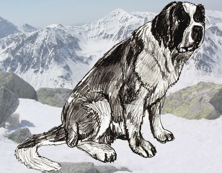 450x350 How To Draw A Dog