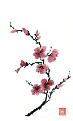 236x392 Cherry Blossom Drawings