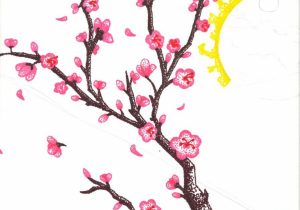 300x210 Sakura Flower Drawing Drawn Cherry Blossom Sakura Flower