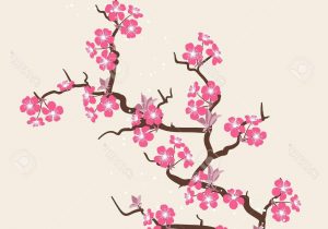 300x210 Sakura Flower Drawing