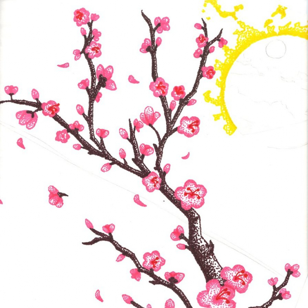 1024x1024 Sakura Flower Drawing Sakura Flower Drawing Free Download Clip