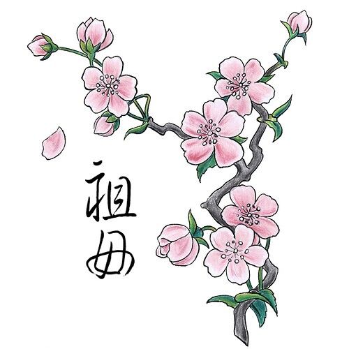 500x500 Peach Tree Blossom Sketch Tatoo