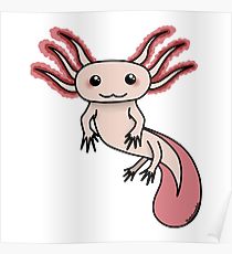 210x230 Mexican Salamander Drawing Posters Redbubble