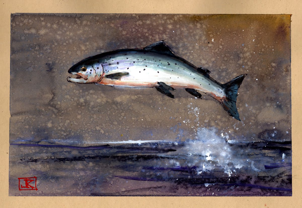 1200x827 Drawing Flies 365 Drawing Fish 52 37 Atlantic Salmon