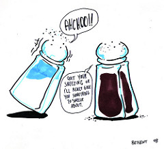 240x218 Saltnd Pepper Shakers I Have Runny Nosend