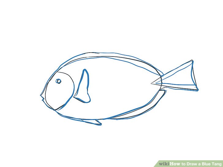 728x546 3 Ways To Draw A Blue Tang