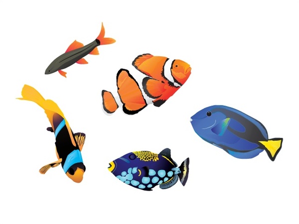 600x450 Coloful Ocean Fishes Vector Illustration On White Background Free
