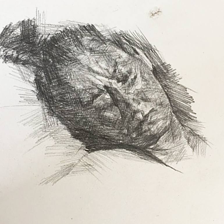 770x770 Saatchi Art Sleeping Head Life Study Drawing By Sam Drake