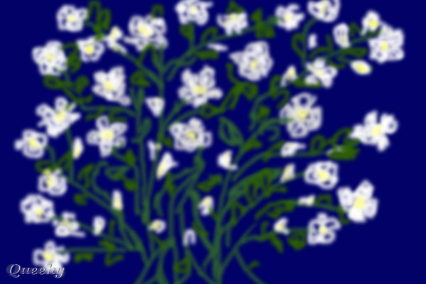 600x400 Sampaguita Flowers A Ornamental Speedpaint Drawing By Marie2009
