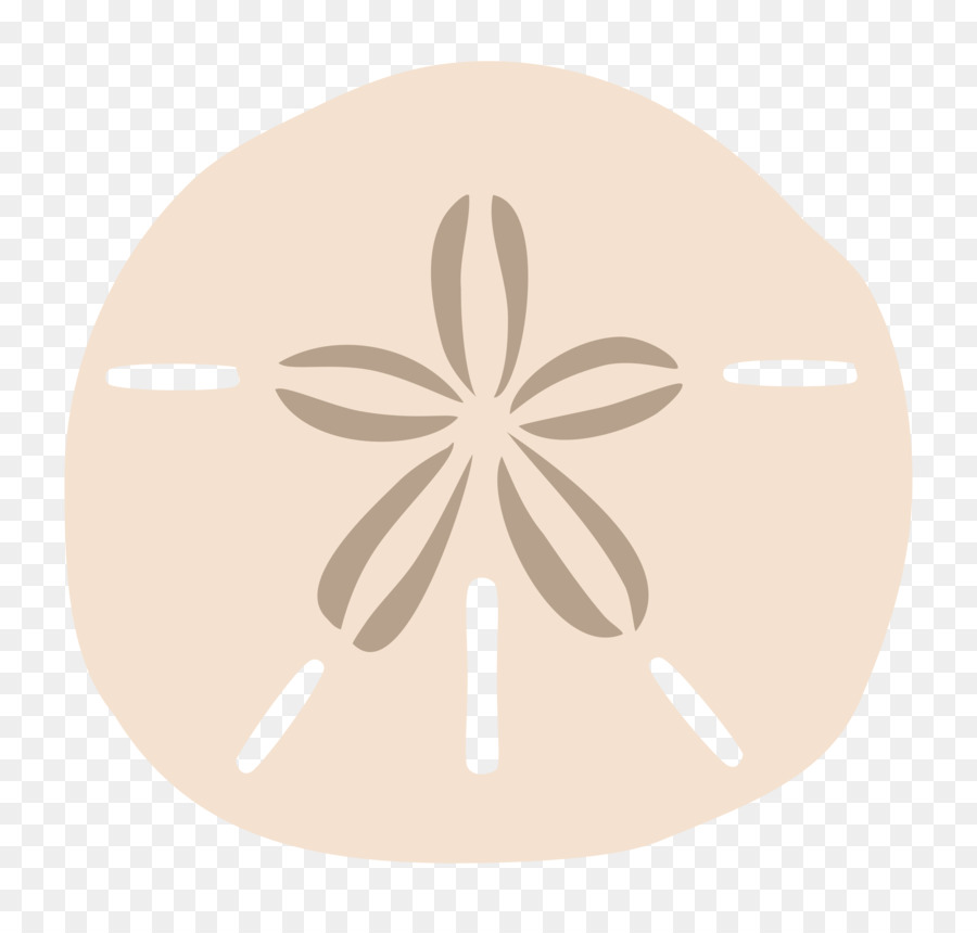 900x860 Sand Dollar Drawing Clip Art