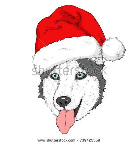 450x470 Sketch Of Husky Dog In Red Santa's Hat. Hand Drawing Muzzle