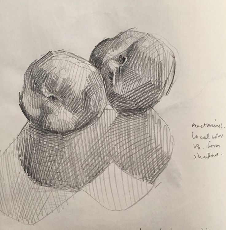 736x749 94 Best Sketchbooks