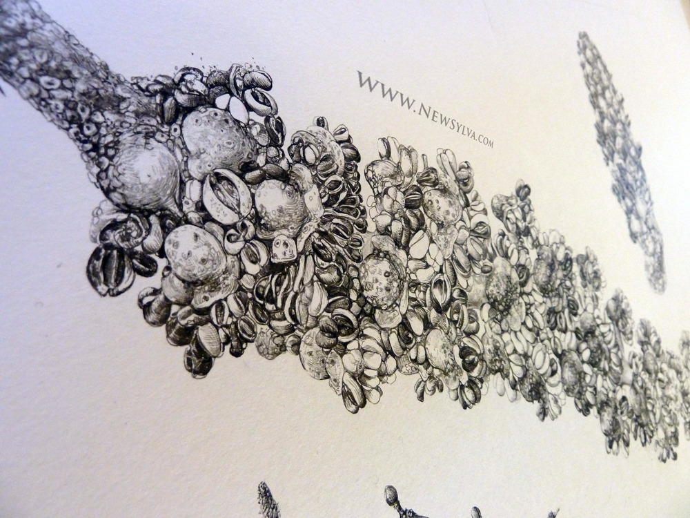 1000x750 Sarah Simblet