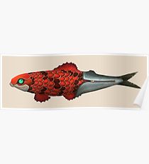 210x230 Sardine Drawing Posters Redbubble