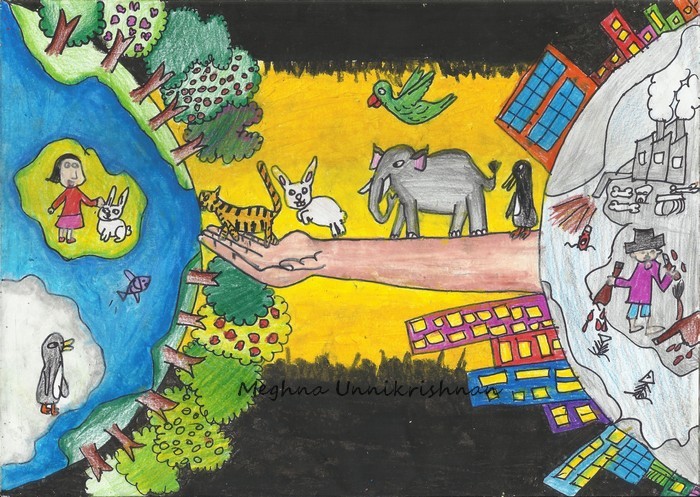 700x497 Dessin Academy Save Animals Drawing Contest