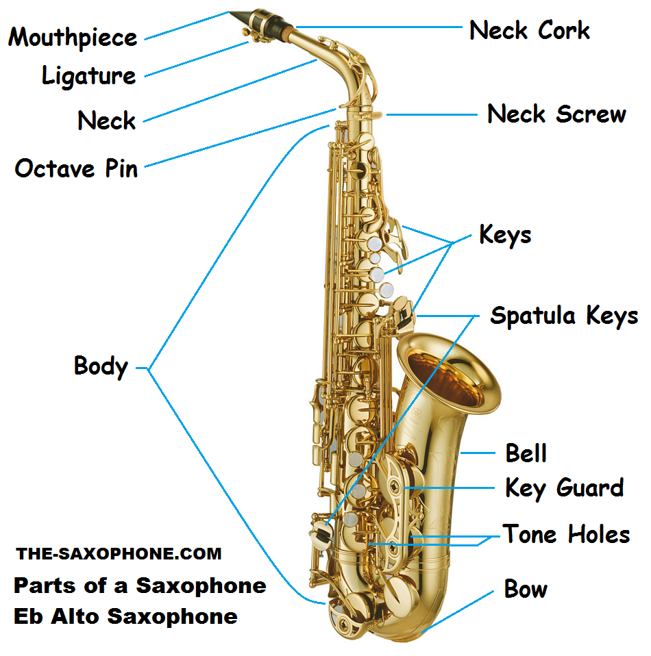 950x958 Saxophone Diagram For Kids