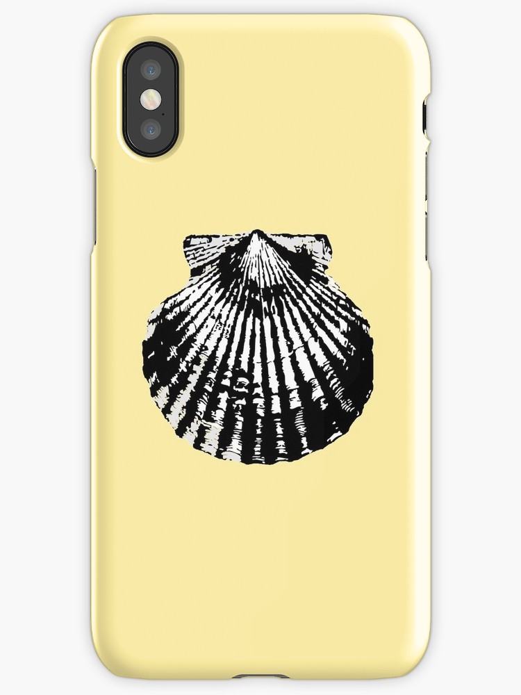750x1000 Shell, Clam, Scallop Shell, Scallops, Bivalve, On Black Iphone
