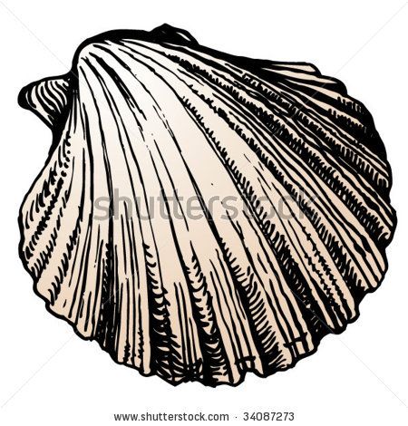 450x470 Scallop Shell By Pirha, Via Shutterstock Artistic Inspirations