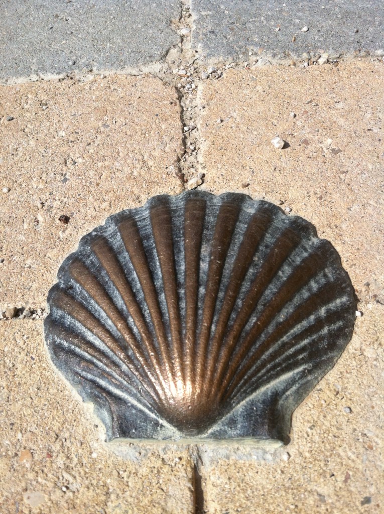 765x1024 The Scallop Shell Symbol Of The Camino De Santiago
