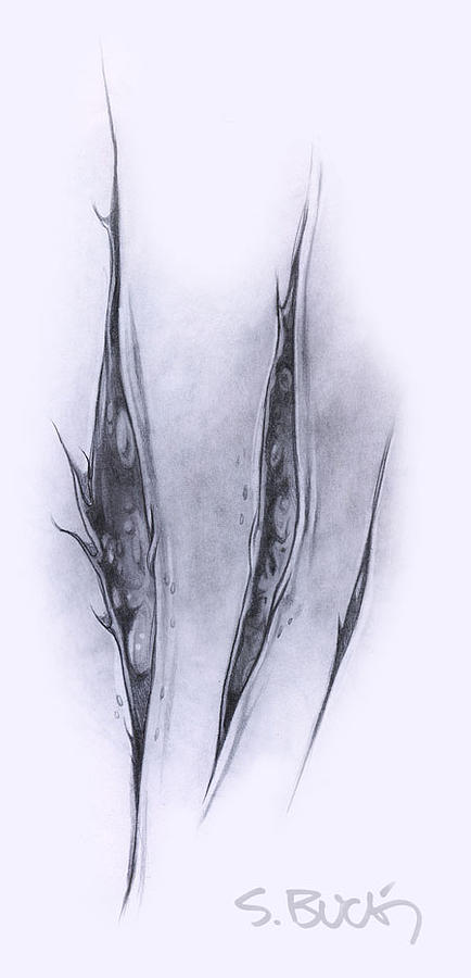 434x900 The Scar Drawing By Shantro Buck