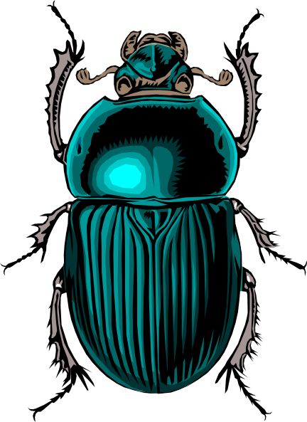432x593 Themagicfarawayttree Scarab Beetle Tattoo For The Home