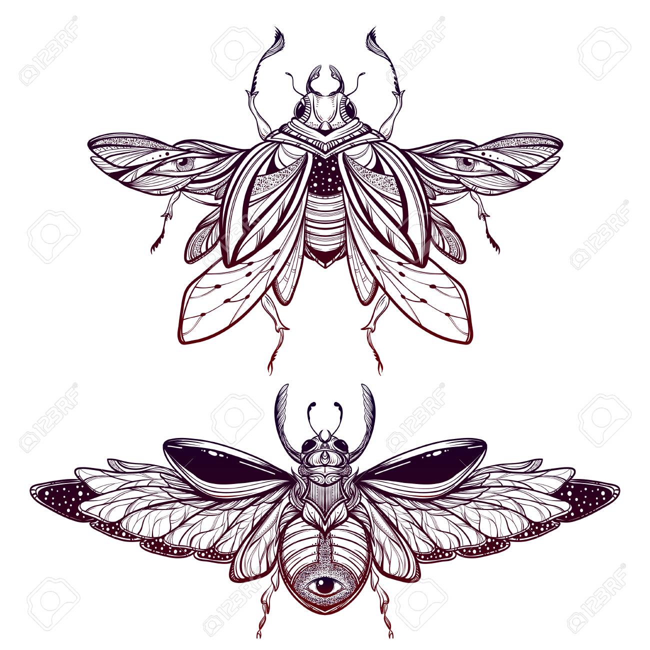 1300x1300 Beetle Bug Tattoo Drawing. Scarab Bug Illustration Royalty Free