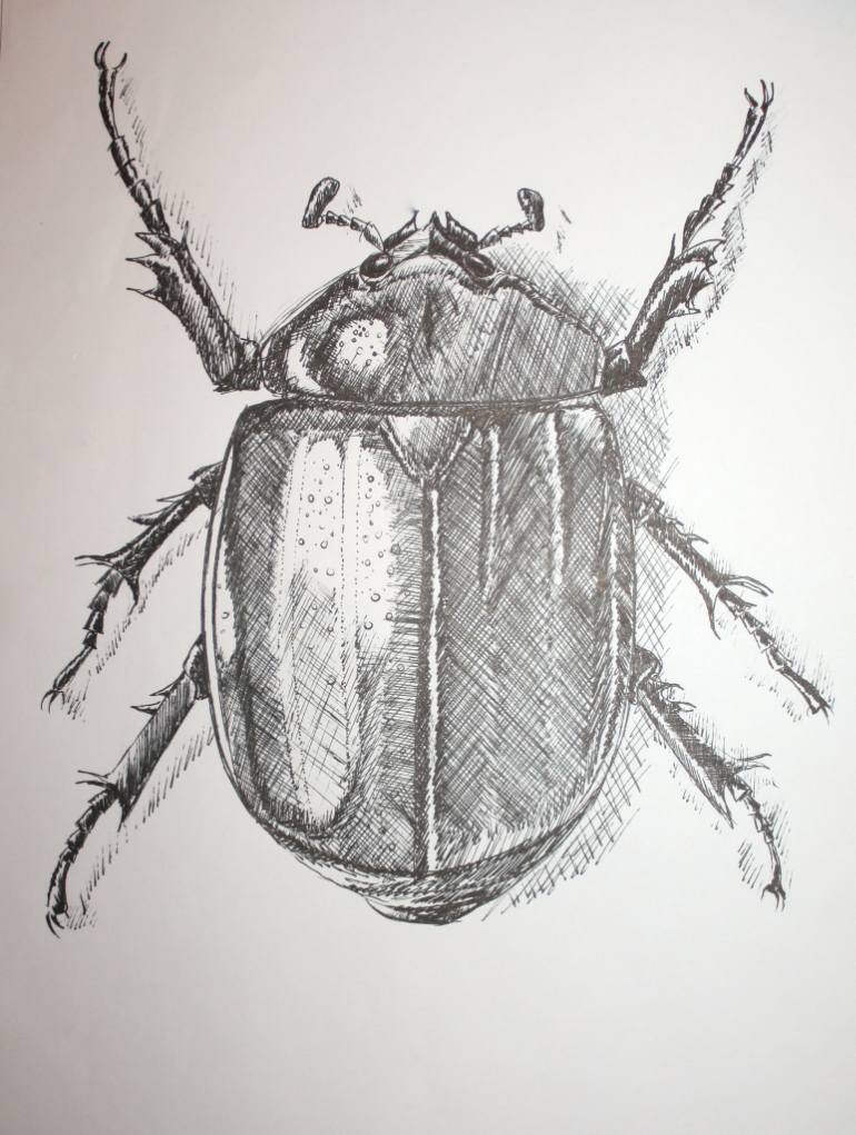 770x1021 Saatchi Art Scarab Drawing By Darin Wood