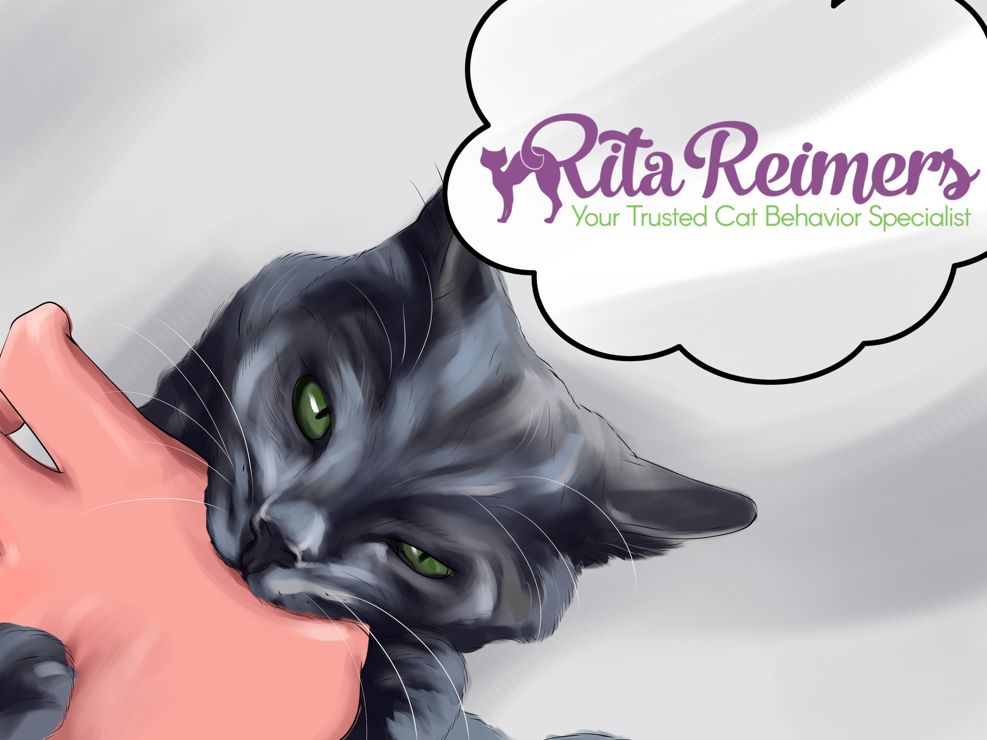 3200x2400 How To Form A Bond With An Angry, Scared Cat 14 Steps