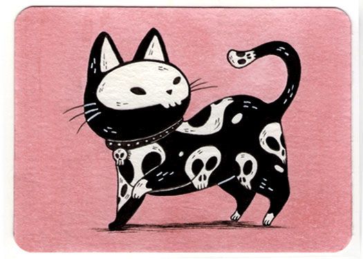 525x375 Image Result For Cat Scared Back Cuties Of Any Kind