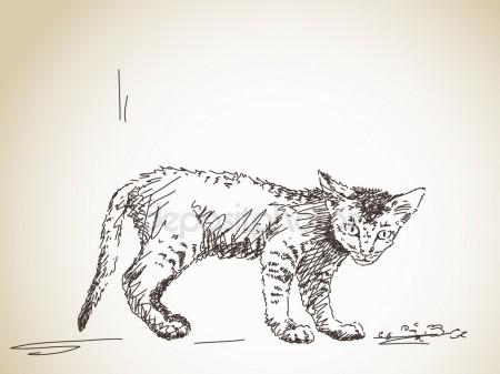 450x337 Freehand Sketch Illustration Of Little Cat Stock Vector