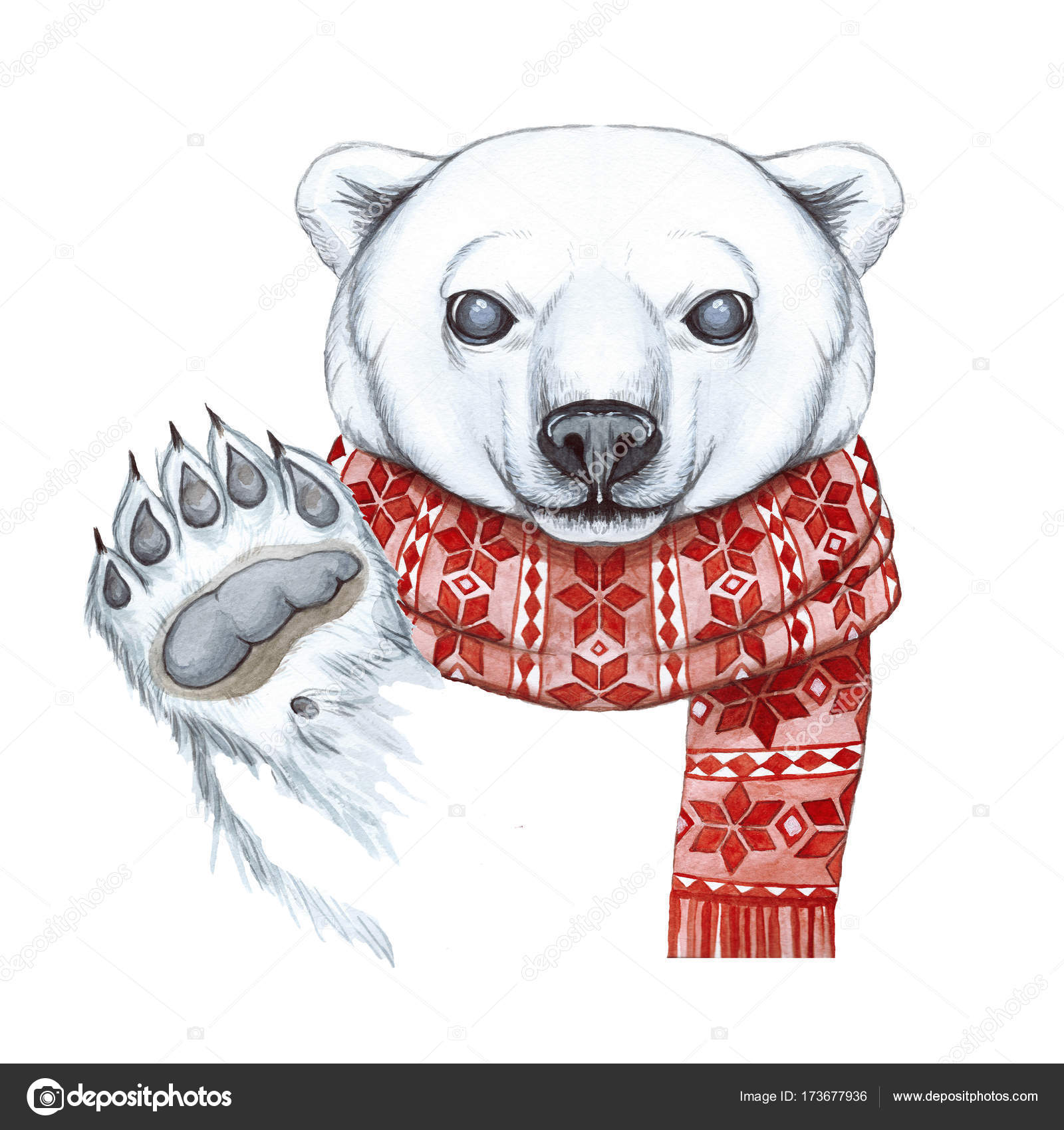 1600x1700 Drawing With Watercolor Polar Bear In The Technique