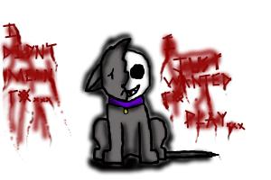 300x200 Midnight Scary Cat