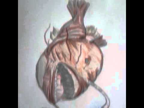 480x360 Scary Fish Drawing