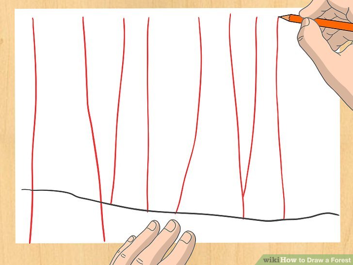 728x546 3 Ways To Draw A Forest