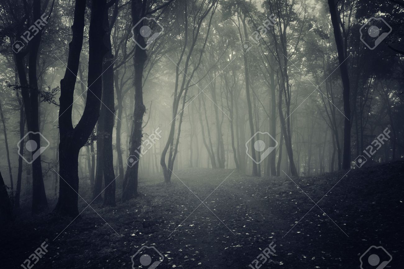 1300x864 Spooky Stock Photos. Royalty Free Business Images